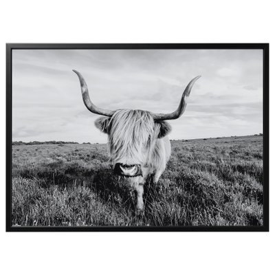 ІКЕА BJORKSTA БЬЙОРКСТА, 495.089.12 Картина з рамкою, цікава корова, 140х100 см 495.089.12 фото