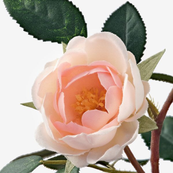 ІКЕА FEJKA ФЕЙКА, 003.953.13 - Штучна рослина в горщику, Троянда рожевий, 9см 003.953.13 фото