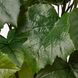 ІКЕА FEJKA ФЕЙКА, 004.933.42 - Штучна рослина в горщику, на відкритому повітрі японська виноградна лоза, 15см 004.933.42 фото 3