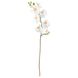 ІКЕА SMYCKAсмЮККА, 803.335.85 - Штучна квітка, Орхідея, 60см 803.335.85 фото 1